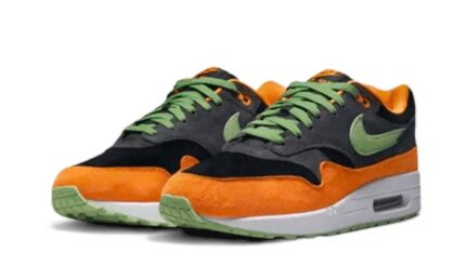 Nike Air Max 1 PRM Duck Anthracite - vue 2