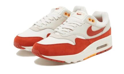 Nike Air Max 1 Rugged Orange - vue 2