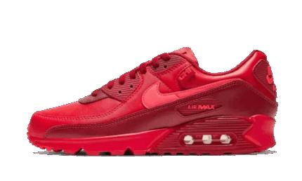 Nike Air Max 90 Chi-City Special authentique