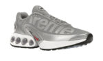 Nike Air Max Dn Supreme Silver Bullet (Friends & Family) - vue 5