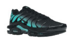 Nike Air Max Plus Black Dusty Cactus - vue 5