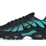 Nike Air Max Plus Black Dusty Cactus authentique