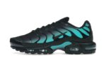 Nike Air Max Plus Black Dusty Cactus authentique