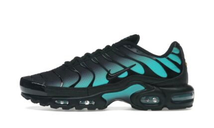 Nike Air Max Plus Black Dusty Cactus authentique