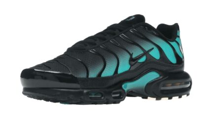 Nike Air Max Plus Black Dusty Cactus - vue 2