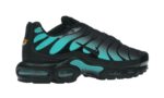 Nike Air Max Plus Black Dusty Cactus - vue 4