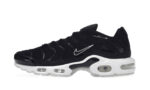 Nike Air Max Plus Black White authentique