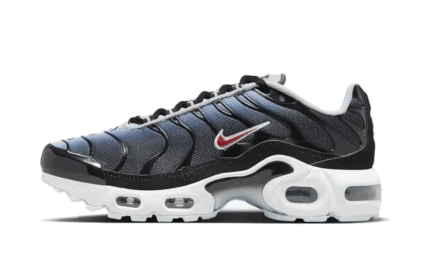 Nike Air Max Plus Blue Tint Rugged Orange authentique