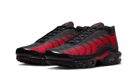 Nike Air Max Plus Bred Reflective - vue 2