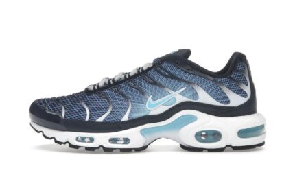 Nike Air Max Plus Dark Obsidian authentique