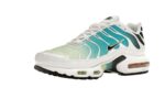 Nike Air Max Plus Dusty Cactus Barely Volt - vue 2