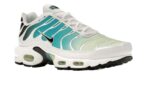 Nike Air Max Plus Dusty Cactus Barely Volt - vue 5