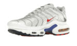 Nike Air Max Plus Euro Tour - vue 2