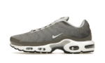 Nike Air Max Plus Flat Pewter authentique