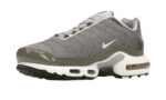 Nike Air Max Plus Flat Pewter - vue 2