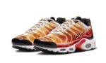 Nike Air Max Plus Light Photography - vue 2