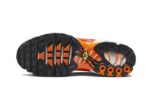 Nike Air Max Plus Light Photography - vue 3