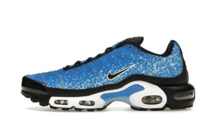 Nike Air Max Plus Naples authentique