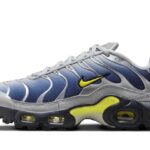 Nike Air Max Plus Obsidian Silver authentique