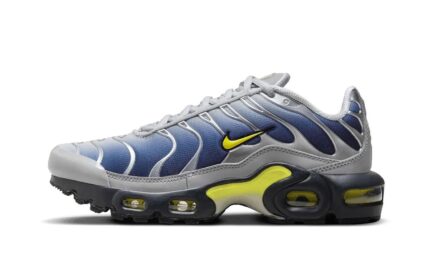 Nike Air Max Plus Obsidian Silver authentique