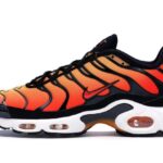 Nike Air Max Plus OG Pimento (2018) authentique