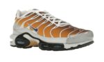 Nike Air Max Plus One Block Down Chutney - vue 5