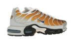 Nike Air Max Plus One Block Down Chutney - vue 4