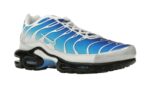 Nike Air Max Plus One Block Down Light Photo Blue - vue 5