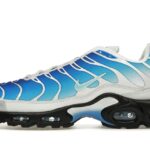 Nike Air Max Plus One Block Down Light Photo Blue authentique
