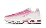 Nike Air Max Plus Pink Fade authentique