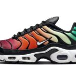 Nike Air Max Plus Rainbow authentique