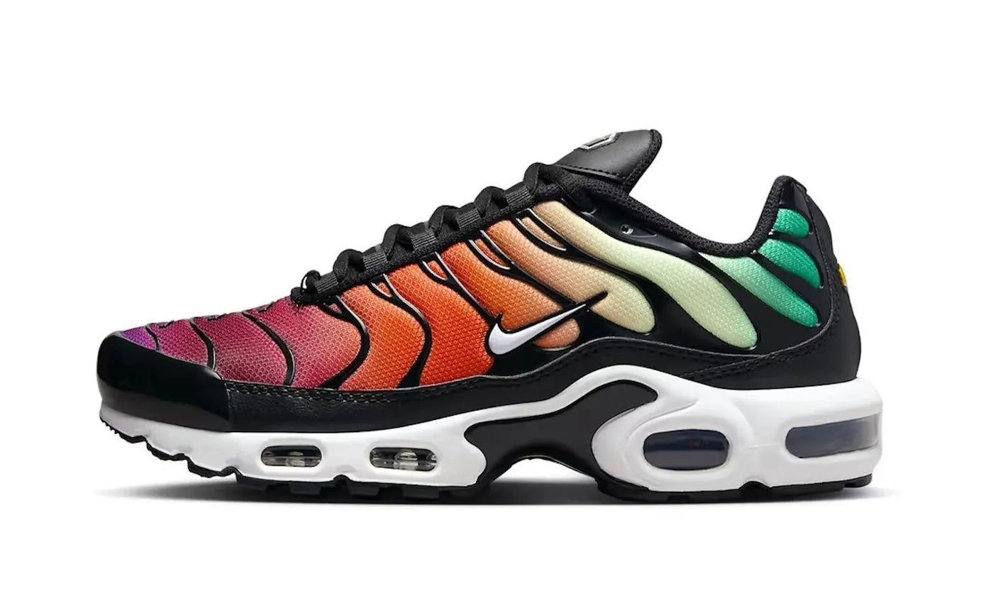 nike-air-max-plus-rainbow-669580 Nike Air Max Plus Rainbow authentique