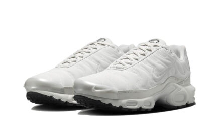 Nike Air Max Plus Reflective Platinum - vue 2
