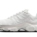 Nike Air Max Plus Reflective Platinum authentique