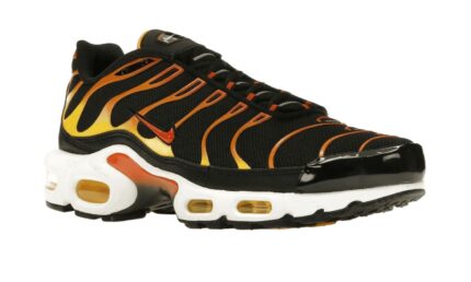Nike Air Max Plus Reverse Sunset - vue 2