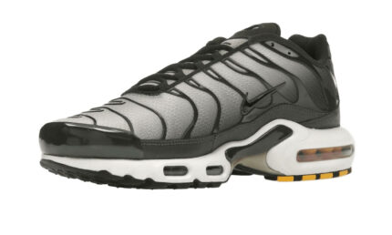 Nike Air Max Plus Sequoia Cargo Khaki - vue 2
