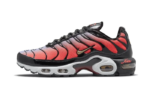 Nike Air Max Plus Sisterhood authentique
