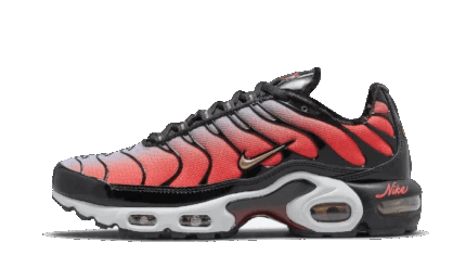 Nike Air Max Plus Sisterhood authentique