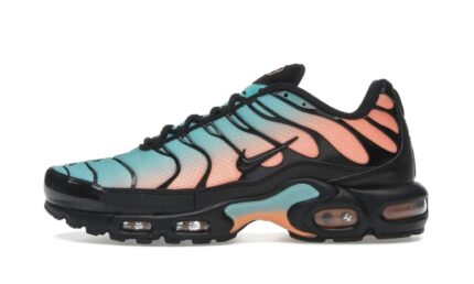Nike Air Max Plus South Beach authentique