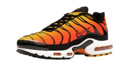 Nike Air Max Plus Sunset (2024) - vue 2