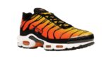 Nike Air Max Plus Sunset (2024) - vue 5