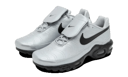Nike Air Max Plus Tiempo Wolf Grey - vue 2