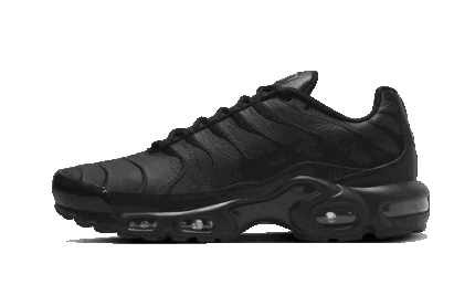 Nike Air Max Plus Triple Black Leather authentique