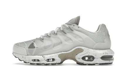 Nike Air Max Terrascape Plus Summit White Photon Dust authentique
