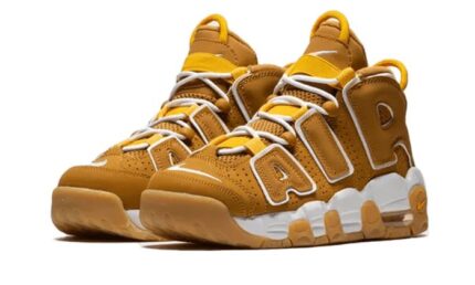 Nike Air More Uptempo Wheat Gum - vue 2