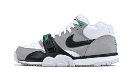 Nike Air Trainer 1 Chlorophyll authentique