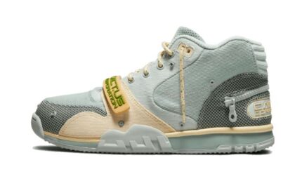 Nike Air Trainer 1 Travis Scott Grey Haze authentique