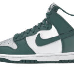Nike Dunk High Bicoastal authentique