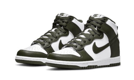 Nike Dunk High Cargo Khaki - vue 2