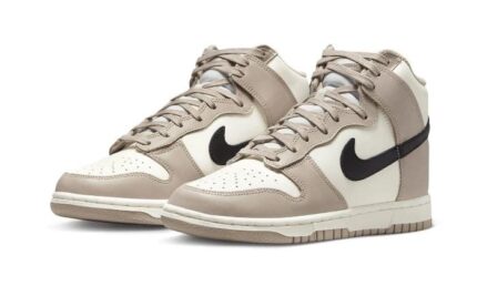 Nike Dunk High Fossil Stone - vue 2